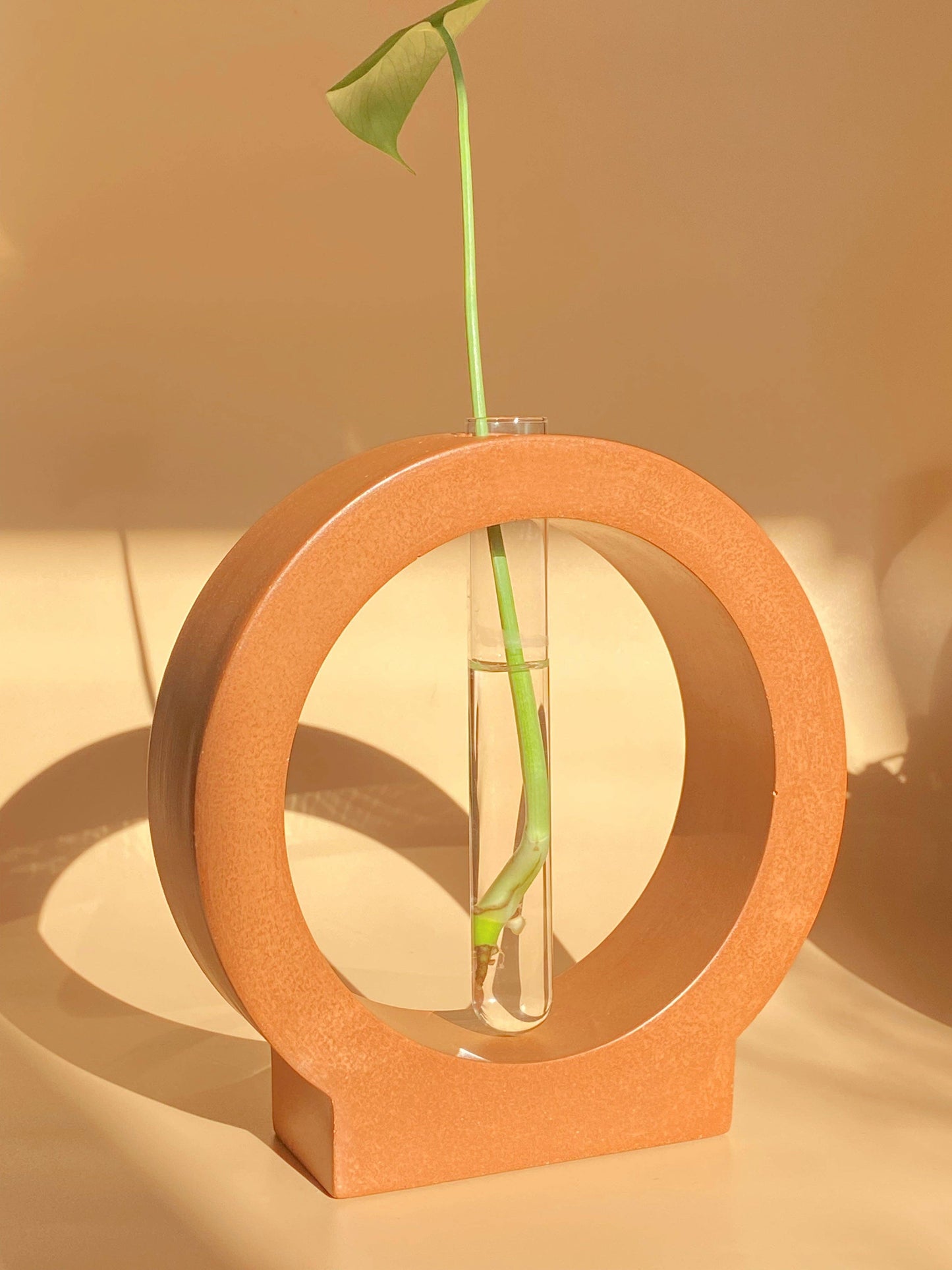 Propagation Station | The Klay Shop